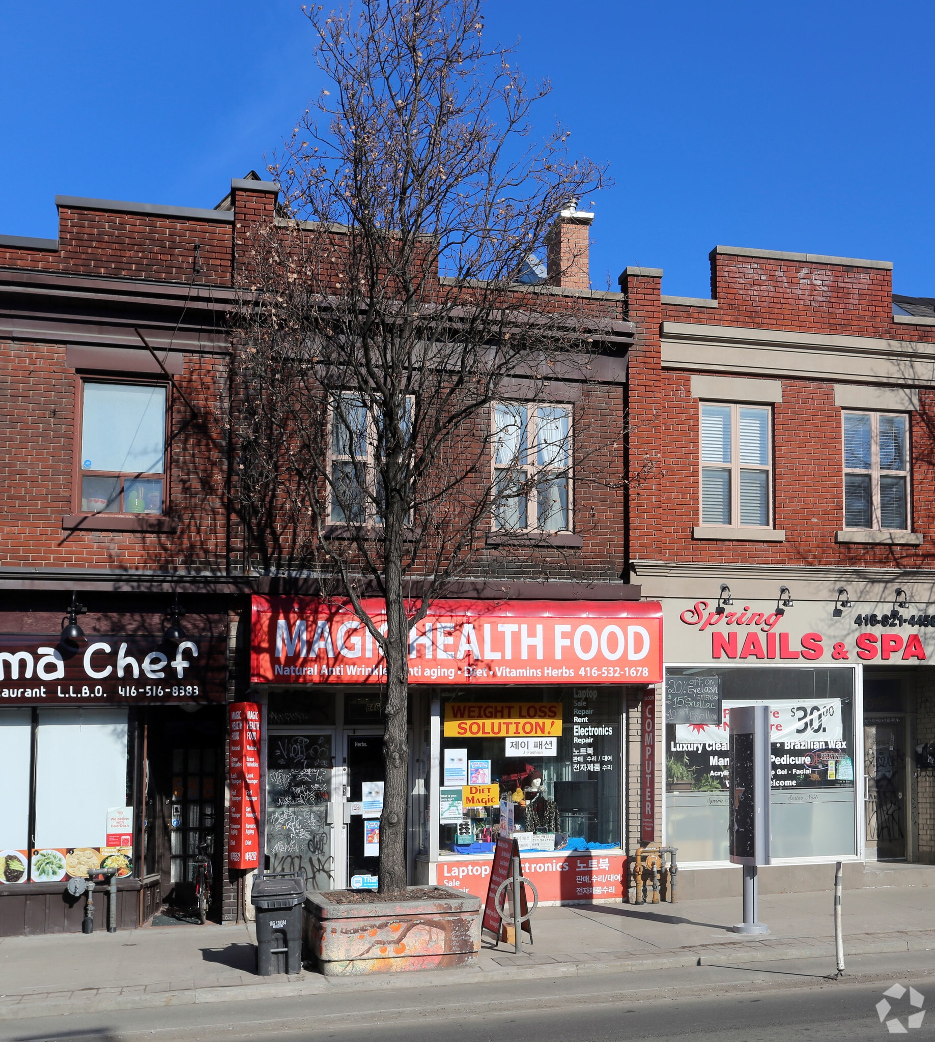 646 Bloor St W, Toronto, ON for Rent
