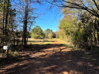 Marietta, TX Agricultural - 133 Scroggins Ln