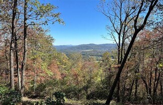 Mills River, NC Commercial Land - TBD Alpen Rose Way