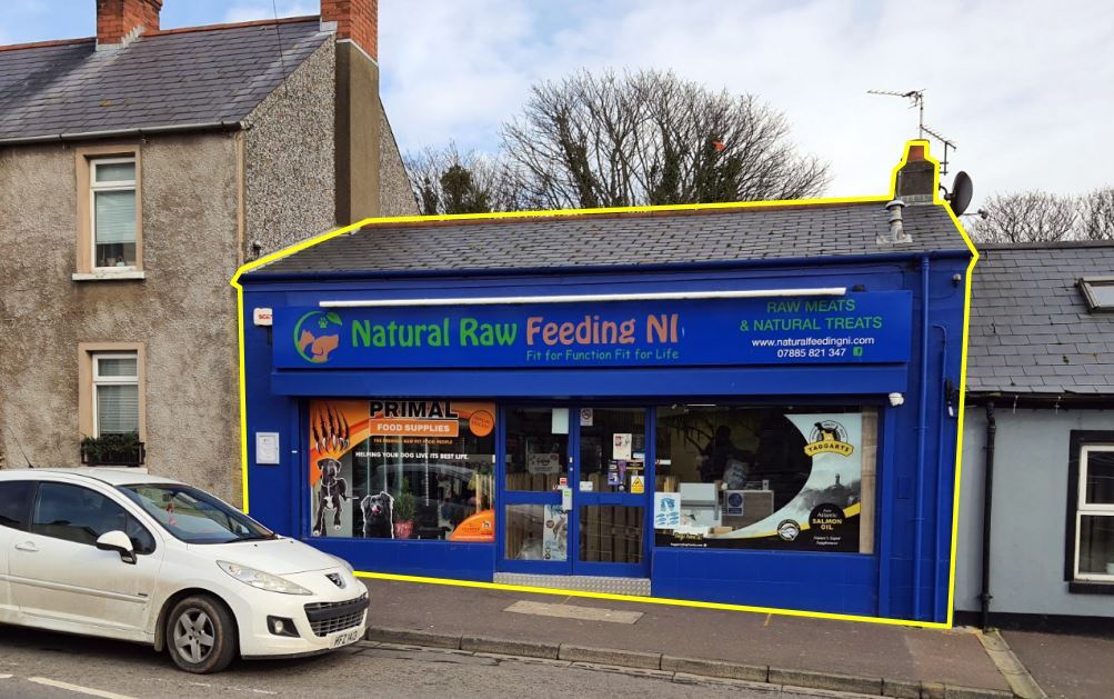 47 Main St, Newtownards, CDN for Sale