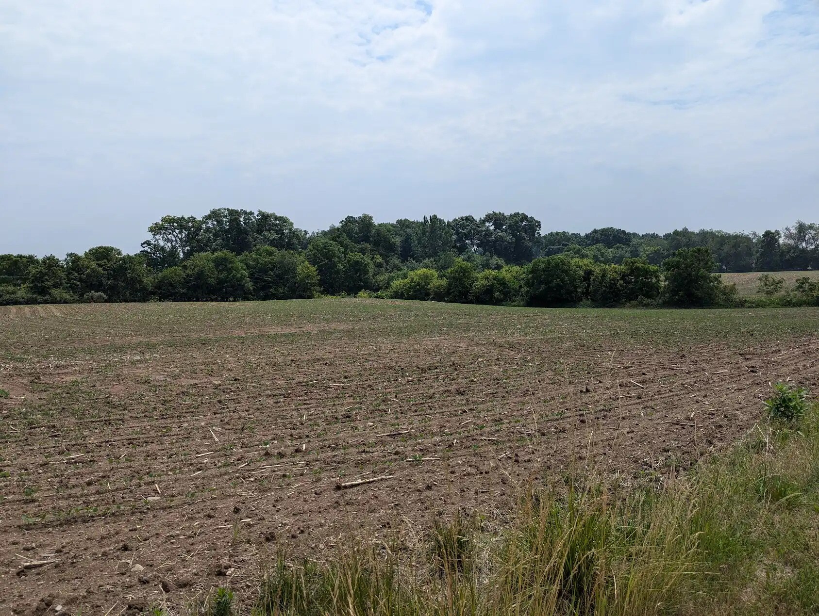 7998 E Grand River Ave, Portland, MI for Sale