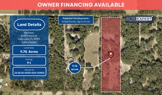 Lady Lake, FL Residential - Griffin View Drive