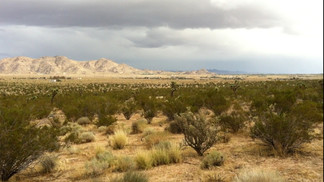 Lucerne Valley, CA Residential - Joshua Rd