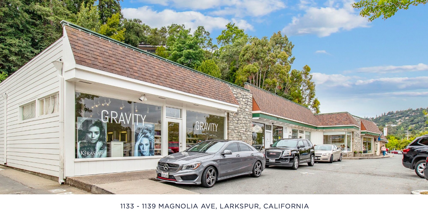 1133-1139 Magnolia Ave, Larkspur, CA for Sale
