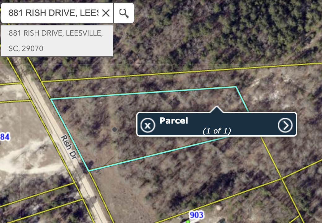 881 Rish dr, Leesville, SC for Sale