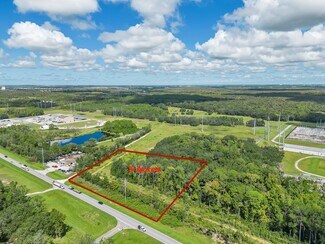 Davenport, FL Industrial Land - 0 Osceola Polk Line Rd