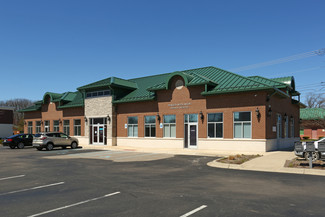 Plymouth, MI Office/Medical - 41128-41640 Ann Arbor Rd