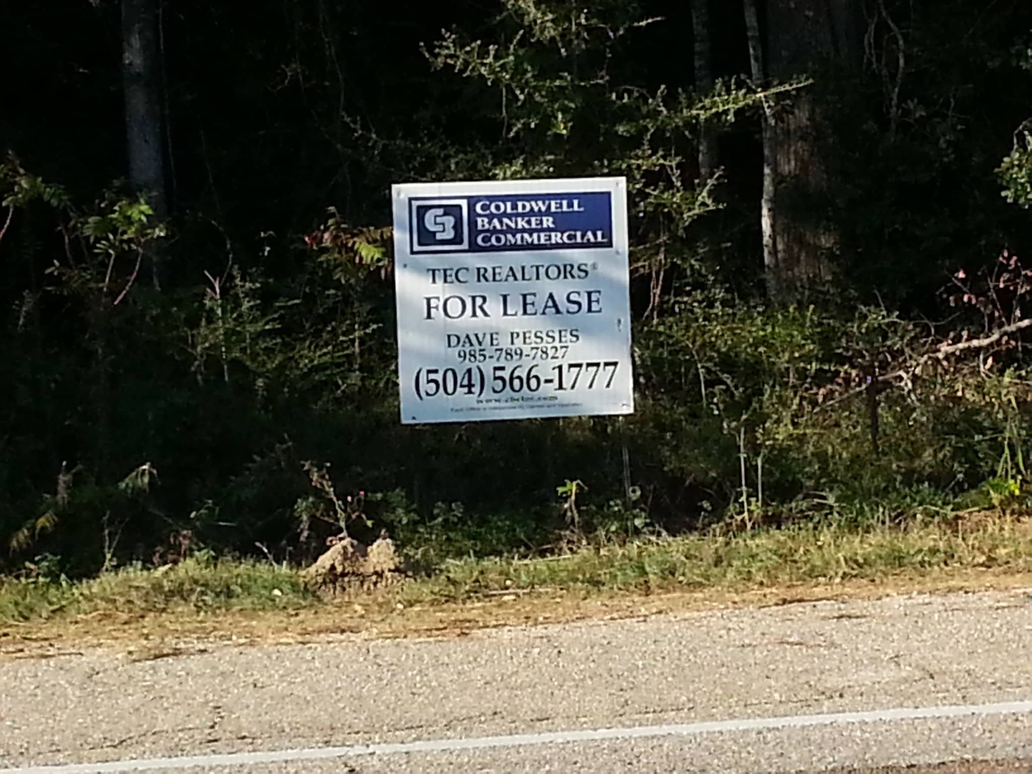 Hwy 190 and Hwy 22, Mandeville, LA for Rent