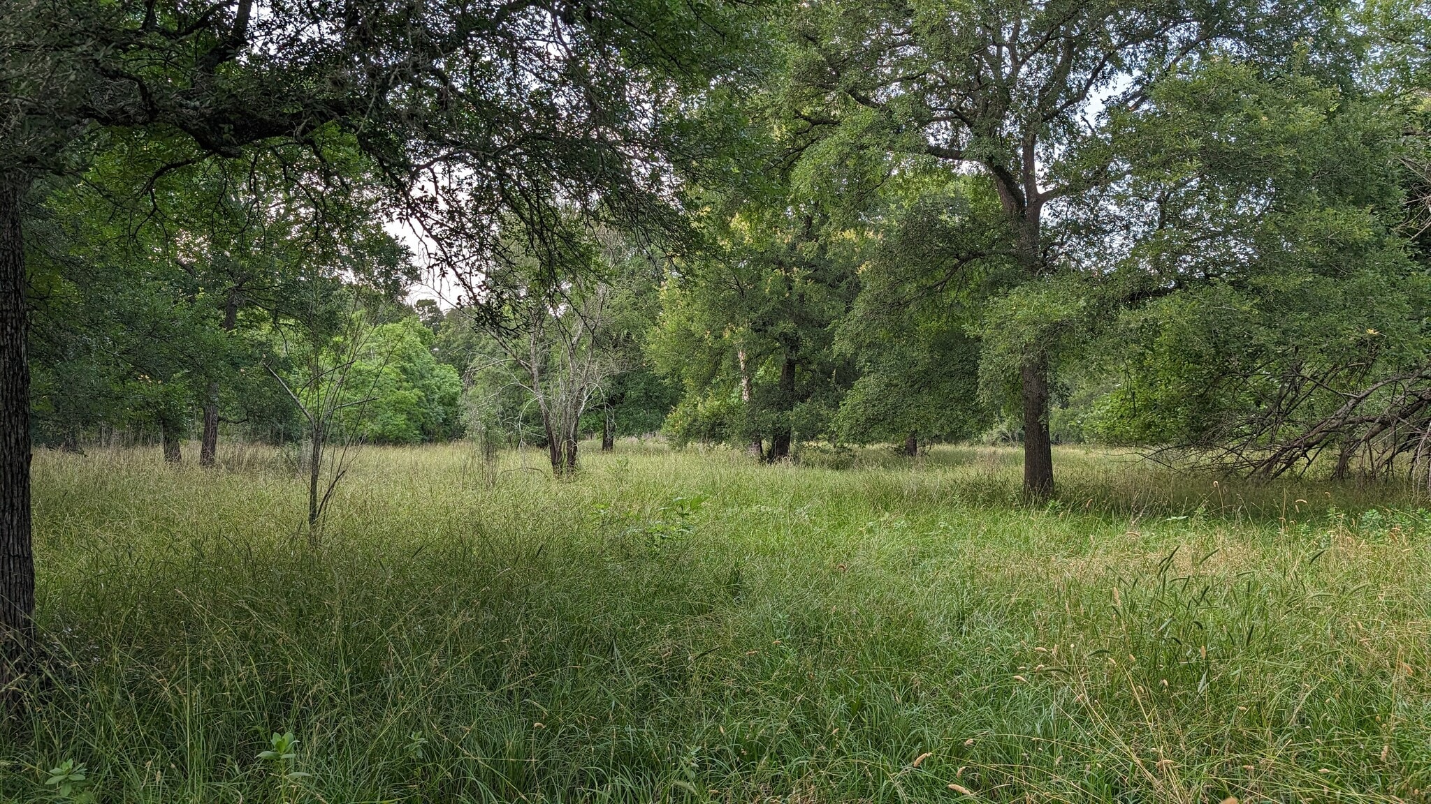 0000 I-69 Fwy, Hungerford, TX for Sale