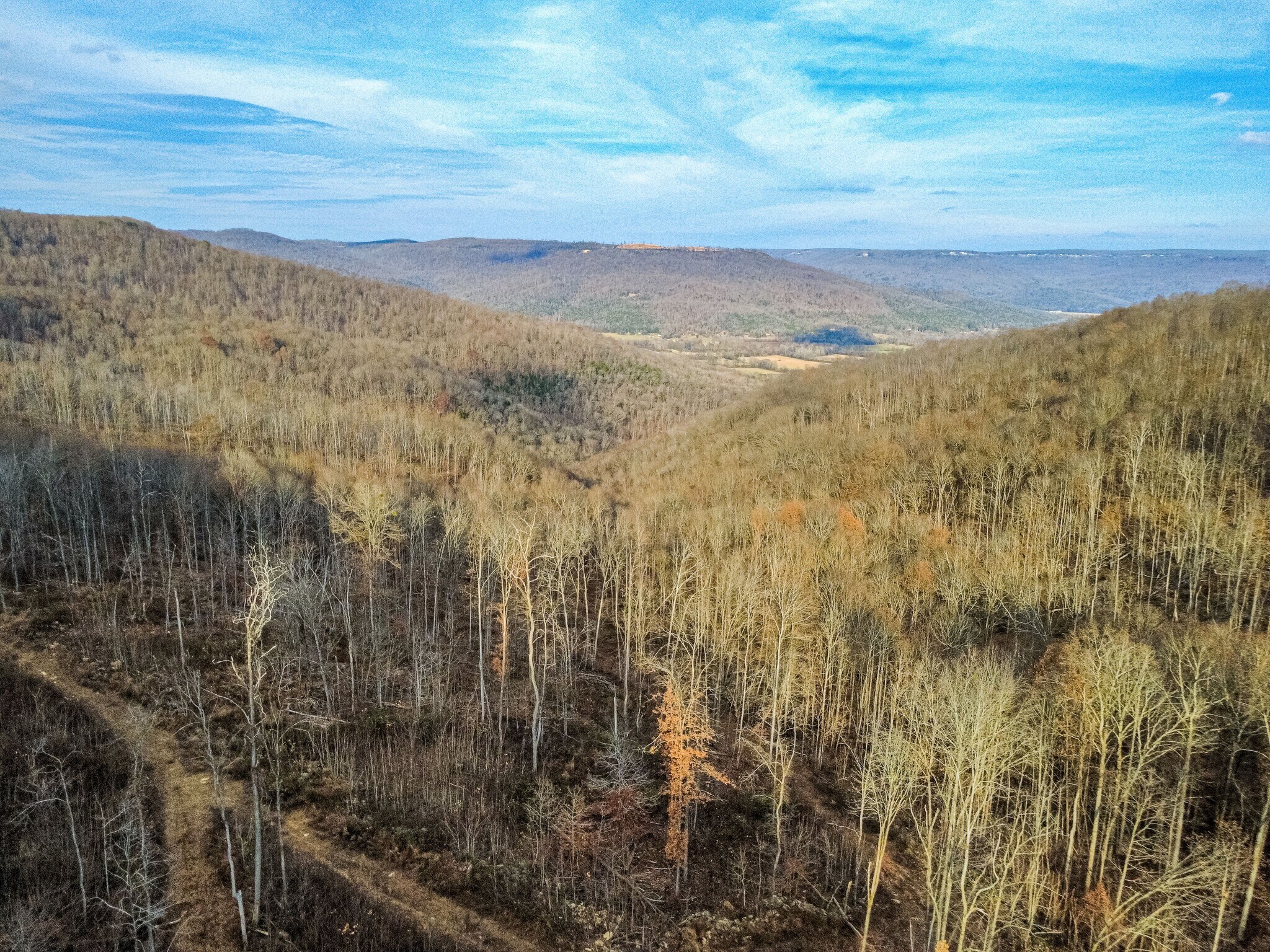 126 Bolton Point Rd, South Pittsburg, TN for Sale