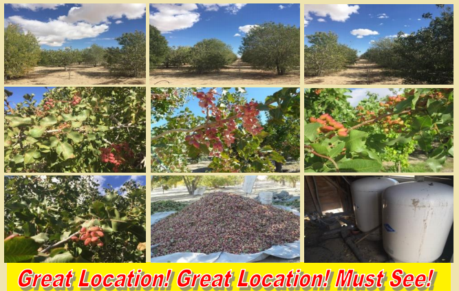 10849 Barstow Rd, Lucerne Valley, CA for Sale