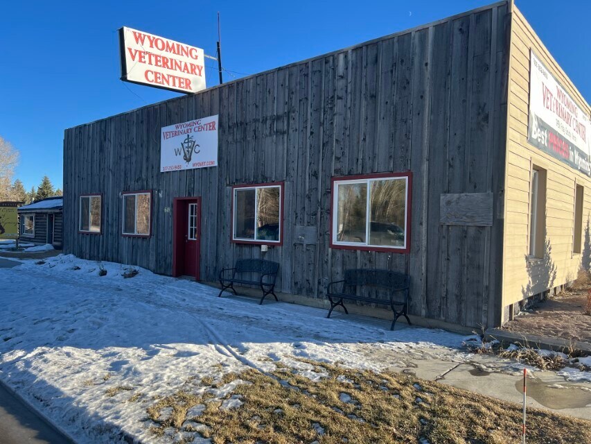 618 W Pine St, Pinedale, WY for Sale