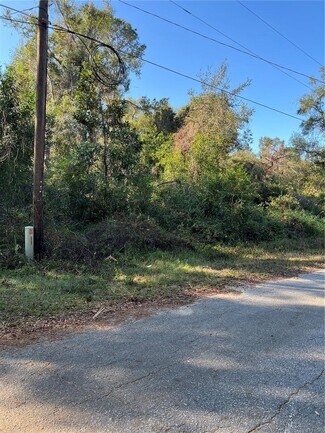 Webster, FL Residential Land - County Road 690