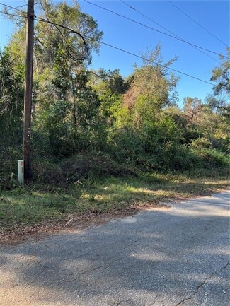 Webster, FL Residential - County Road 690