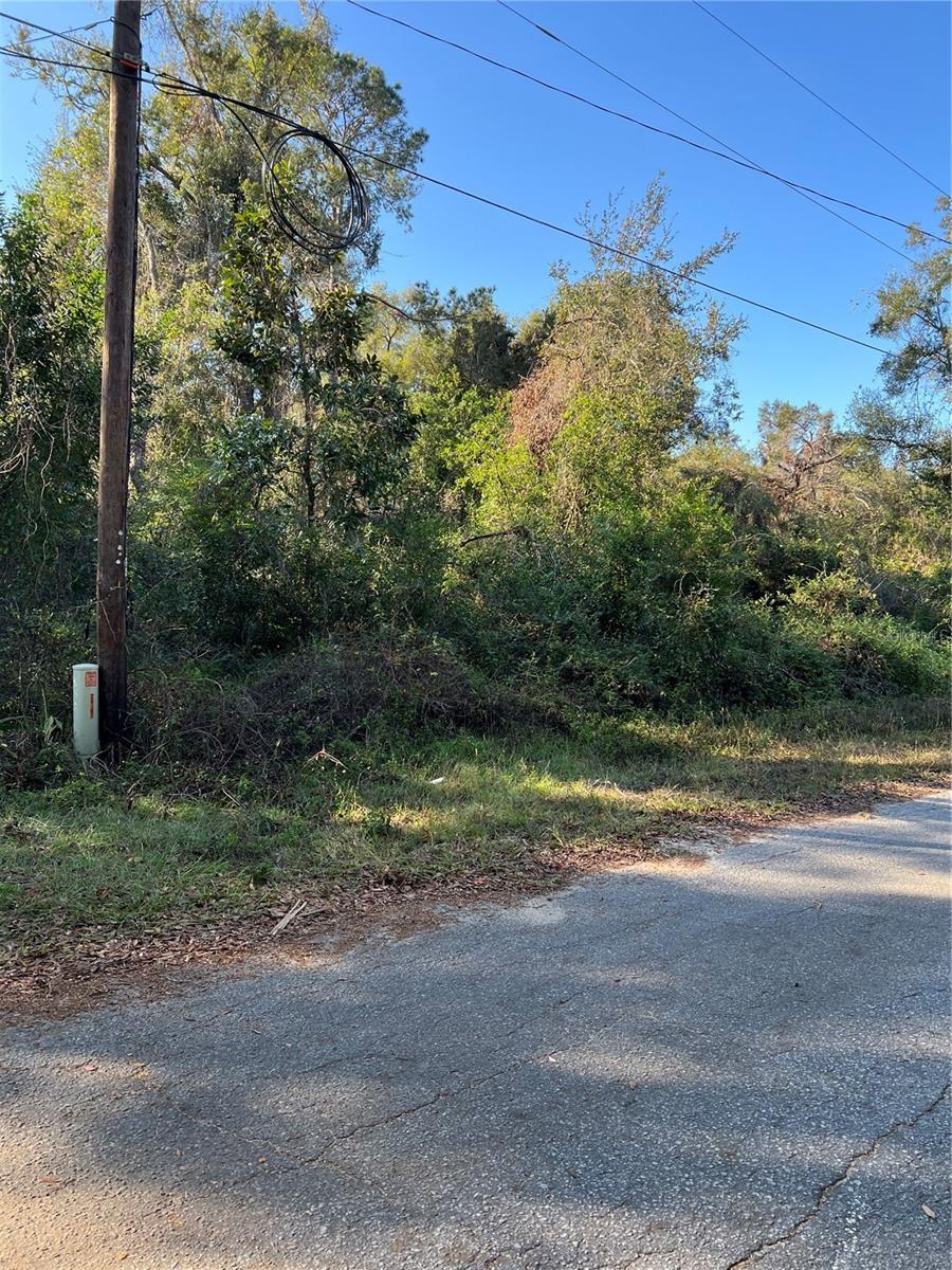 County Road 690, Webster, FL for Sale