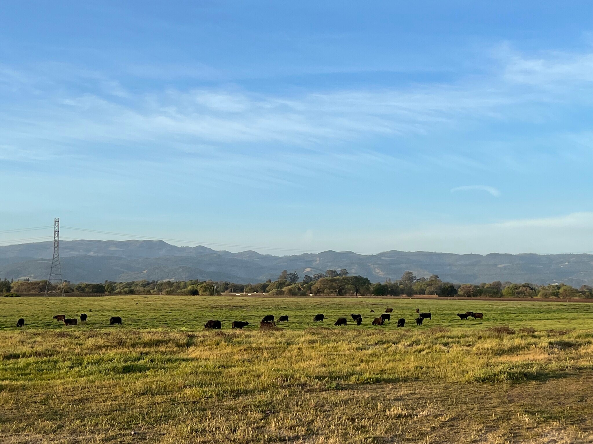 22100 Arnold Drive, Sonoma, CA for Sale