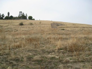 Porterville, CA Residential Land - Scenic Dr