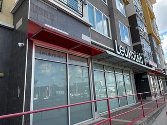 Houston, TX Retail - 3509 Elgin St