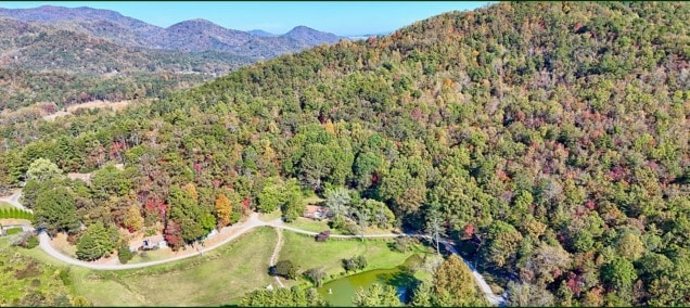 638 Chalet Village, Dillard, GA for Sale