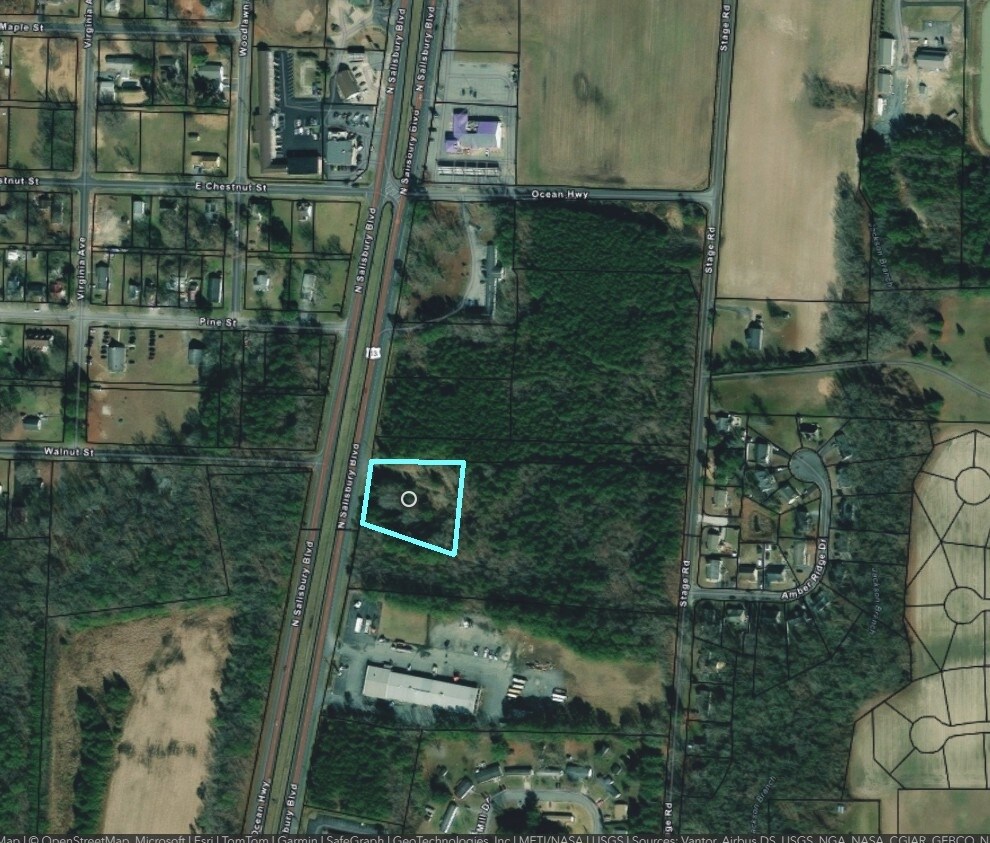 9419 Ocean hwy, Delmar, MD for Sale