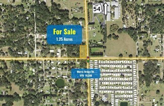 Zephyrhills, FL Agricultural - Chancey Rd @ Morris Bridge