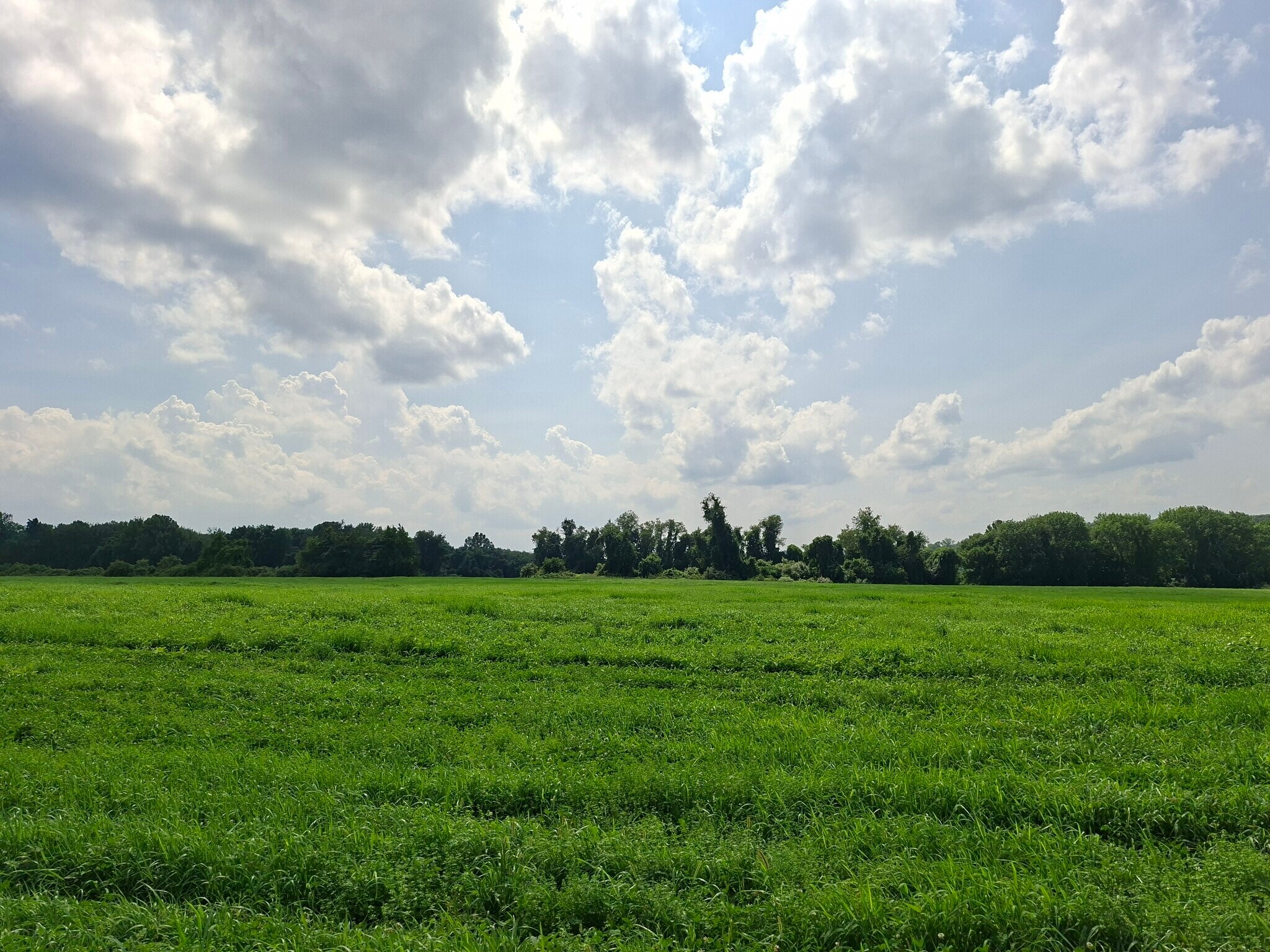 215 Route 32 Rt, North Franklin, CT for Sale