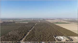 895.49 Acres Walnuts/Almonds/Open Ground