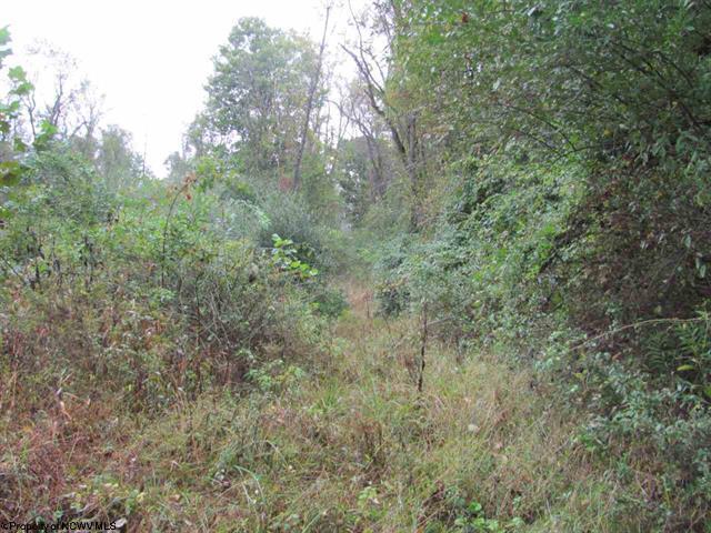 Rosedale Hill, Morgantown, WV for Sale