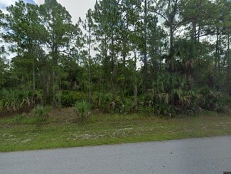 Port Charlotte, FL Residential Land - 256 Ellington st