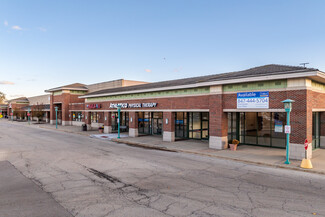 Elk Grove Village, IL Retail - 980 Elk Grove Town Ctr