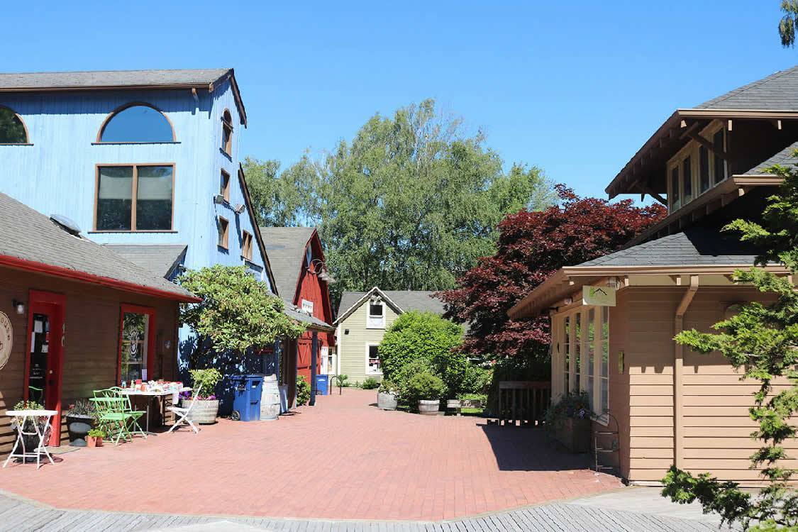 317 NW Gilman Blvd, Issaquah, WA for Rent