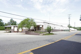 Rockford, MI Industrial - 485 Wolverine St