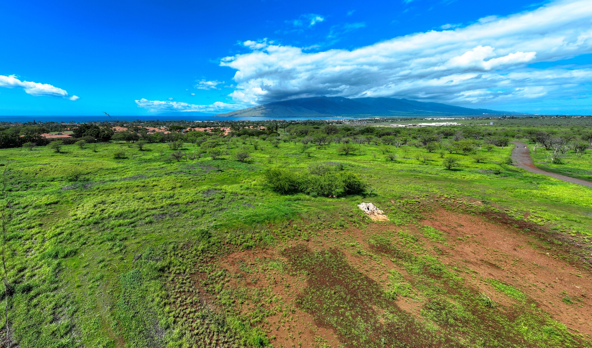 Lipoa Parkway, Kihei, HI for Sale