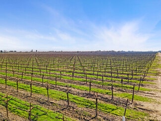 Lodi, CA Agricultural Land - 10401 Harney Lane