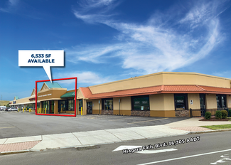 Niagara Falls, NY Retail - 6520-6560 Niagara Falls Blvd