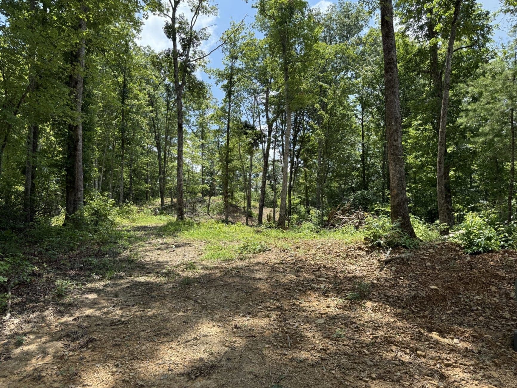456 Nydeck Rd, Robbins, TN for Sale