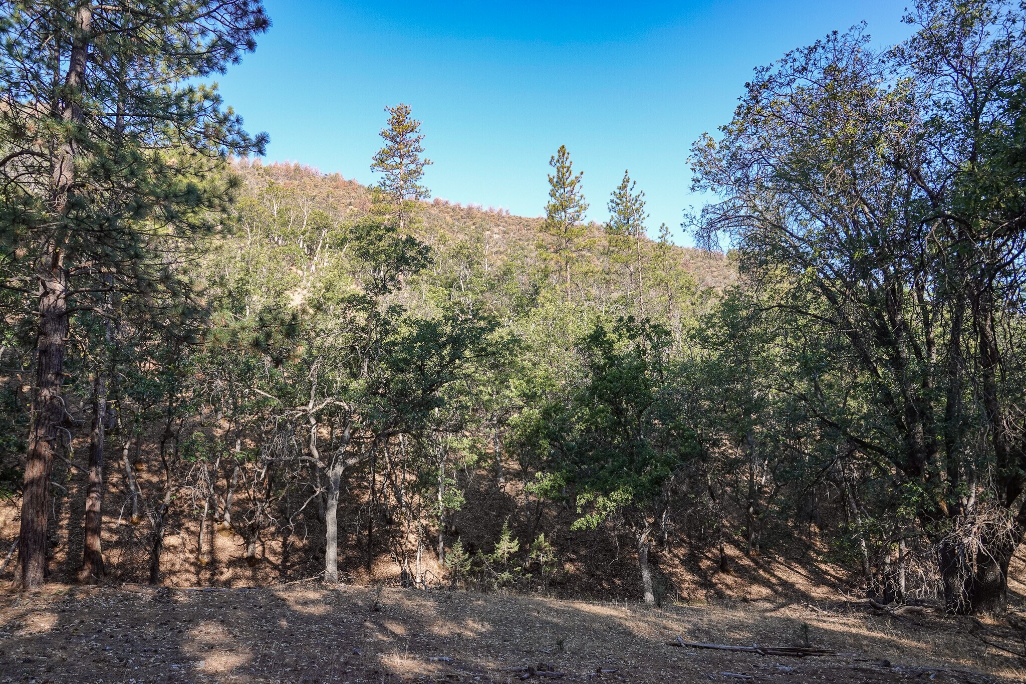0 East Rd, Fort Jones, CA for Sale