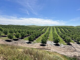 Waterford, CA Agricultural Land - 5701 Crabtree Rd