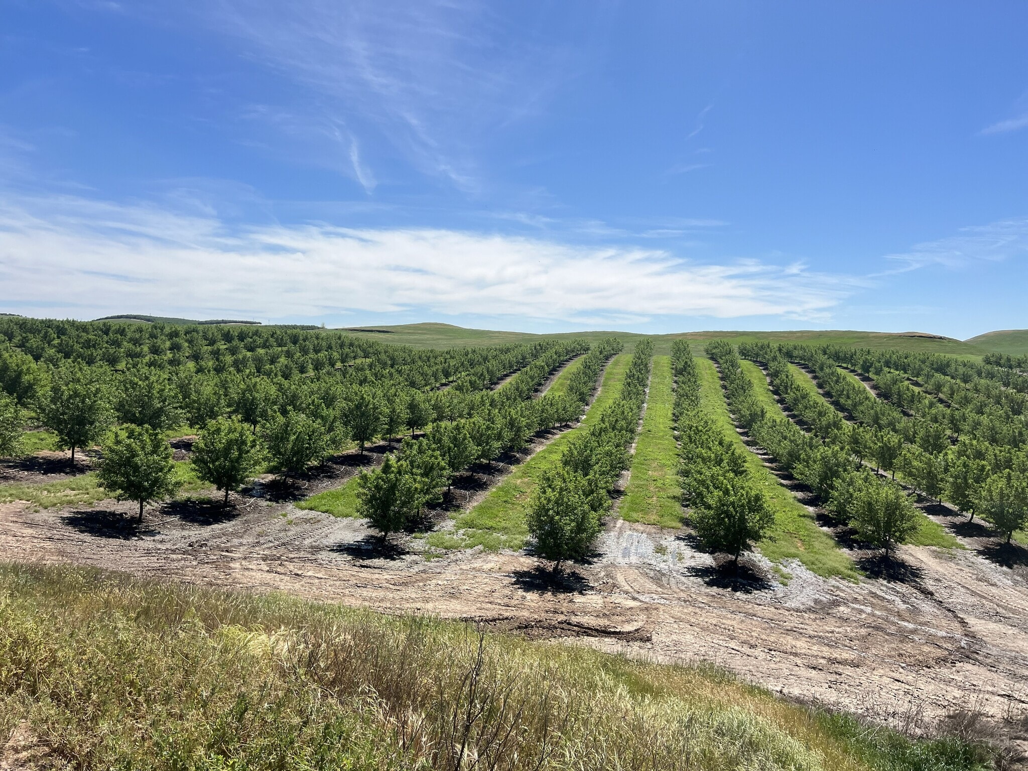 5701 Crabtree Rd, Waterford, CA for Sale