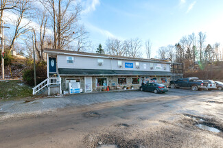 Fayetteville, WV Storefront Retail/Office - 309 Keller Ave