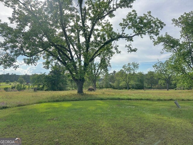 0 Scuppernong Dr, Helena, GA for Sale