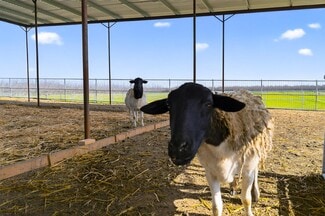 Lemoore, CA Agricultural - 6873 20th Ave