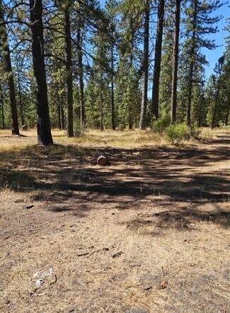 Mccloud, CA Residential Land - 11 Parkside Court