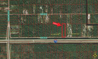 Naples, FL Residential Land - 0 42nd Ave