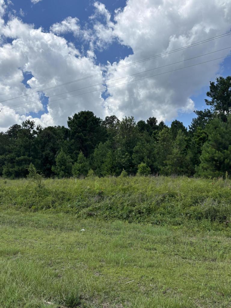 4315 Thomas Sumter hwy, Dalzell, SC for Sale