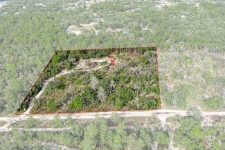 Brooksville, FL Agricultural Land - 11011 Bourassa Blvd