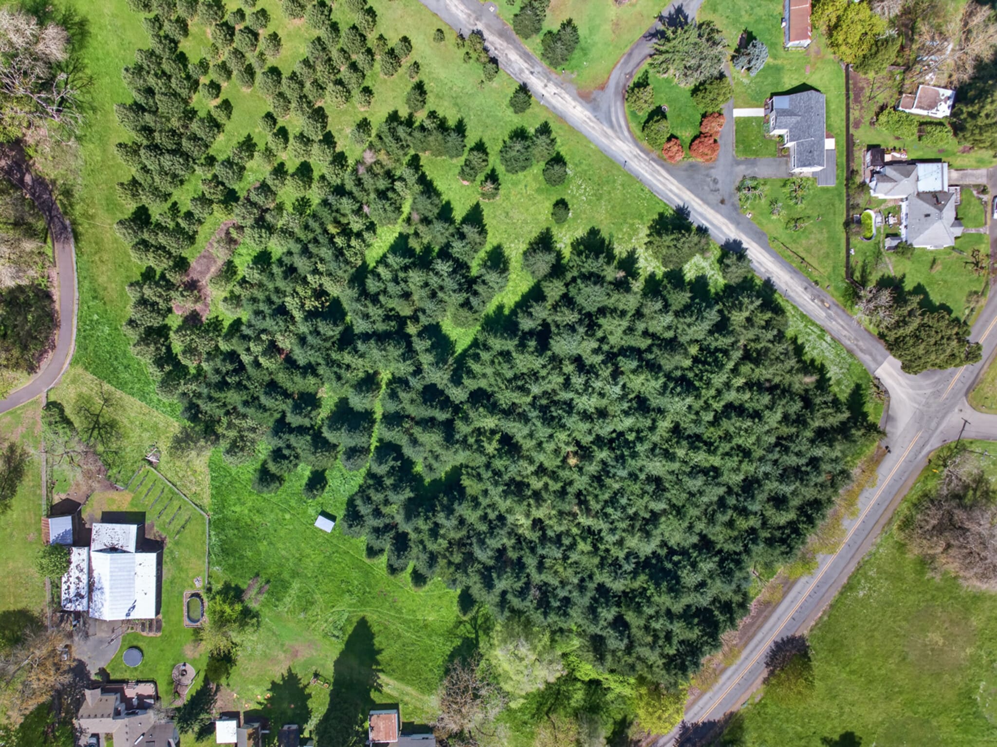 37516 Beaton ln, Lebanon, OR for Sale