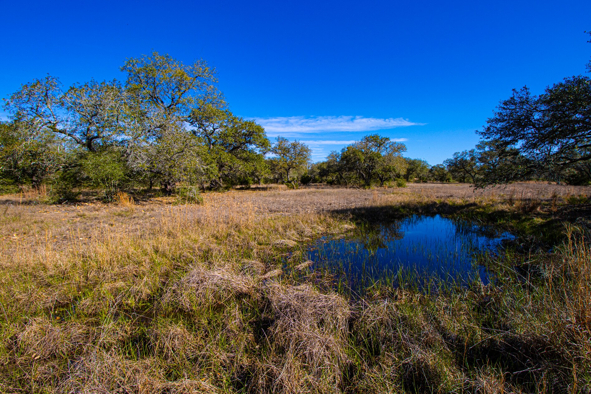 1984 Highway 71, Columbus, TX for Sale