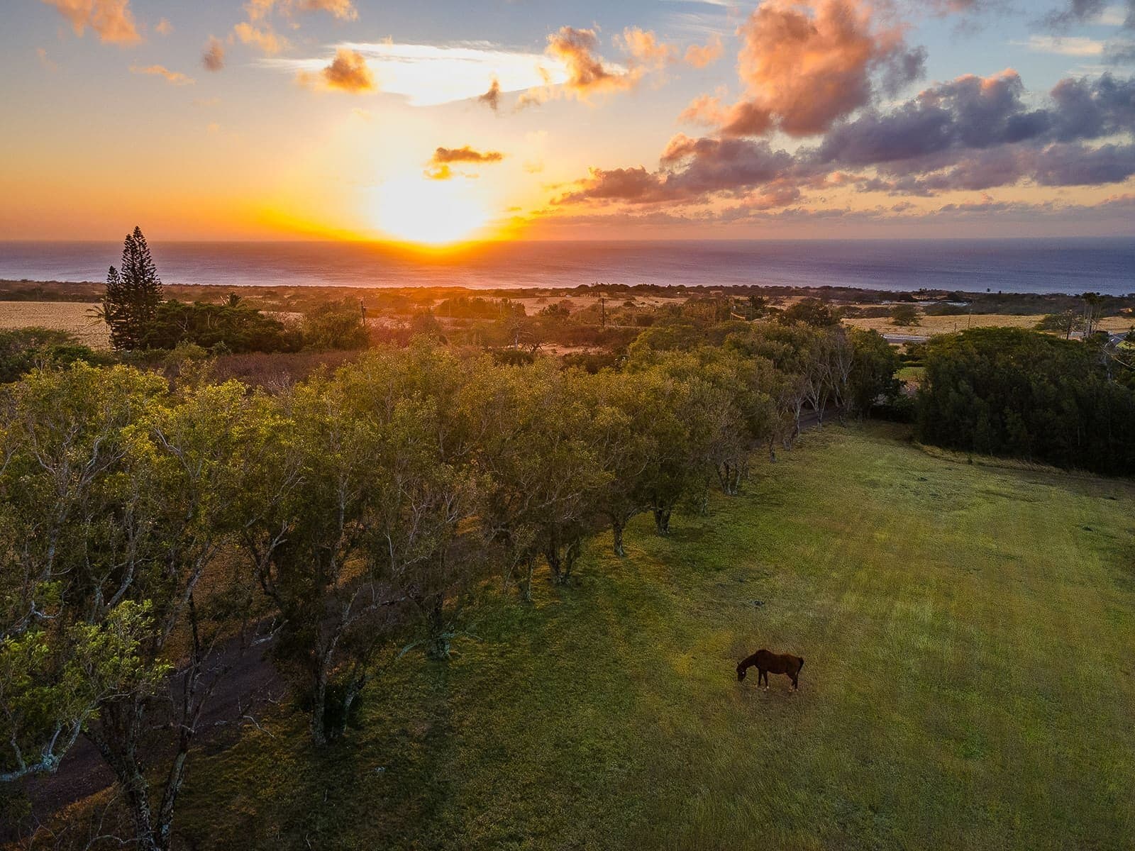 56-2864 Akoni Pule Hwy, Hawi, HI for Sale