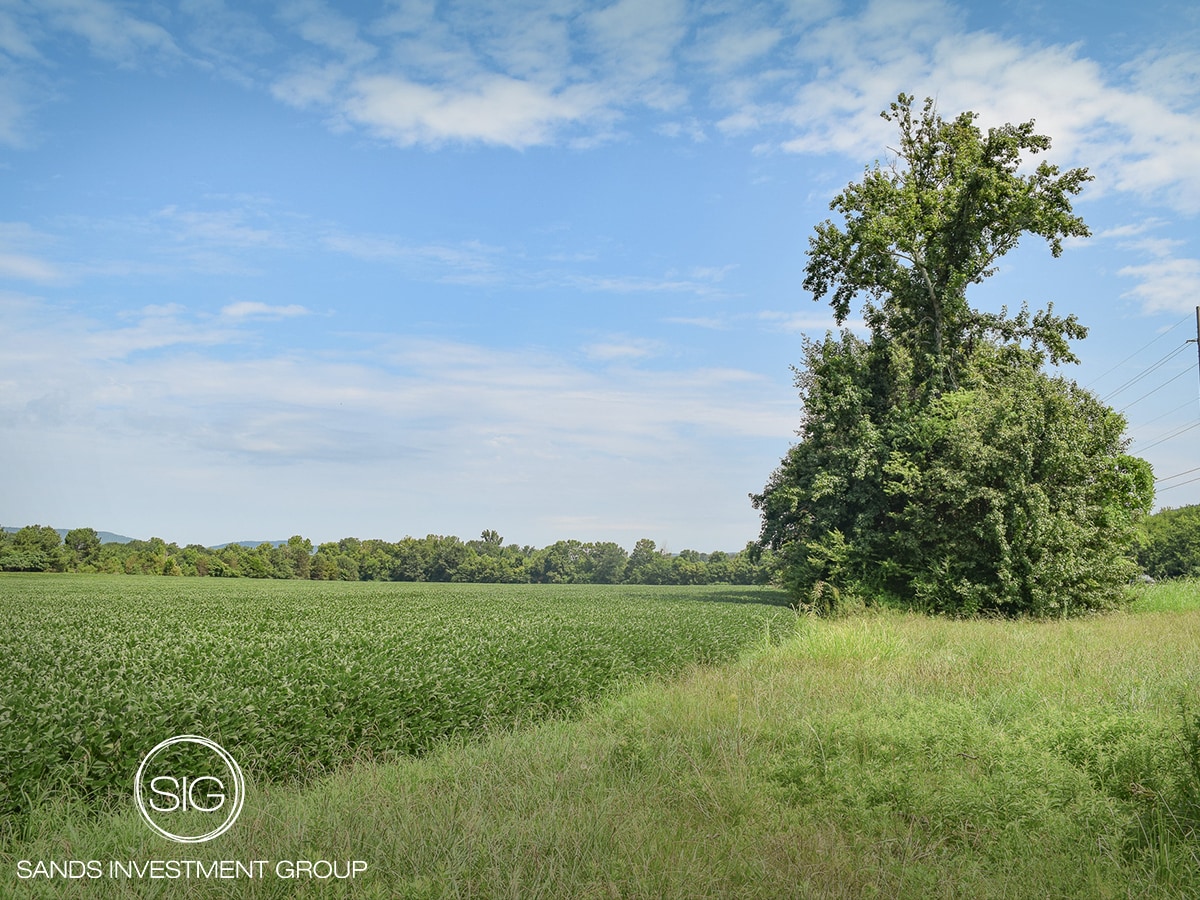 Wilson Mann Rd and 431 S - Owens Cross Roads hwy, Owens Cross Roads, AL for Sale